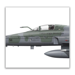 AERONAVES HISTÓRICAS DEL 1 GDA - ESCUADRÓN JAGUAR • FAB - Art In Profiles - Os melhores Posters de Aviação