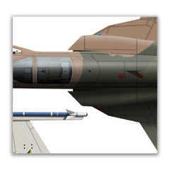 Northrop F-5E Tiger II, FAB 4827, 1º/14º GAV - Esquadrão Pampa, 4 vistas - Art In Profiles - Os melhores Posters de Aviação