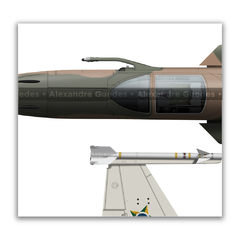 Northrop F-5E Tiger II, FAB 4845, 1º GAVCA, 4 vistas - Art In Profiles - Os melhores Posters de Aviação