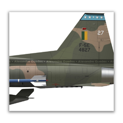 Imagen de Northrop F-5E Tiger II, FAB 4827, 1º/14º GAV - Esquadrão Pampa, 4 vistas