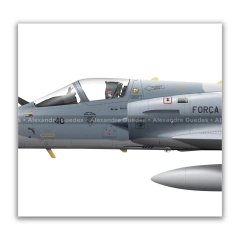 AERONAVES HISTÓRICAS DEL 1 GDA - ESCUADRÓN JAGUAR • FAB - tienda online
