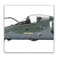 AERONAVES AMX INTERNATIONAL A-1 / A-1A / A-1M • 1/16 GAV - ESQUADRÃO ADELPHI • FAB - loja online