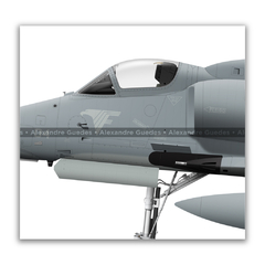 McDonnell Douglas AF-1B Skyhawk II, N-1004, 3 vistas - tienda online