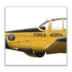 AVIONES UNIVERSALES NEIVA T-25 EN LA FUERZA AÉREA BRASILEÑA • 01 - tienda online