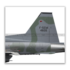 AERONAVES NORTHROP F-5E/M TIGER II • 1 GAVCA - 1/14 GAV - 1 GDA - 1/4 GAV • FAB. - loja online