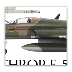 Northrop F-5E Tiger II, FAB 4845, 1º GAVCA, 4 vistas - tienda online