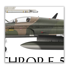 Northrop F-5E Tiger II, FAB 4845, 1º GAVCA, 4 vistas - loja online