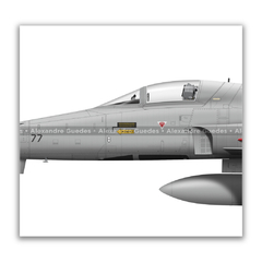 AERONAVES NORTHROP F-5E/M TIGER II • 1/14 GAV - ESQUADRÃO PAMPA • FAB - loja online
