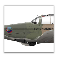 Imagen de AVIONES UNIVERSALES NEIVA T-25 EN LA FUERZA AÉREA BRASILEÑA • 01