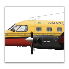 Poster EMB-110 Bandeirante da Transbrasil com seis pinturas. - Art In Profiles - Posters e Livros sobre Aviação