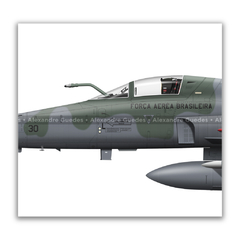 Imagem do AERONAVES NORTHROP F-5E/M TIGER II • 1/14 GAV - ESQUADRÃO PAMPA • FAB