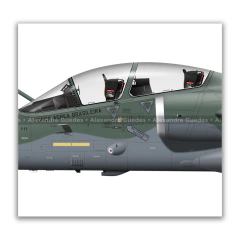 Imagen de AVIONES INTERNACIONALES AMX A-1B / A-1BM • 1/16 GAV - ESCUADRÓN ADELPHI • FAB