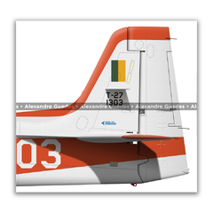 Imagem do Embraer T-27 Tucano, FAB 1303, AFA - Primeira Pintura