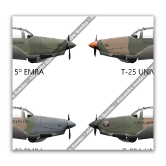 Poster T-25 Universal: O Instrutor de Gerações da FAB em 14 Pinturas - LÍDER DE ESQUADRILHA - Art In Profiles - Posters e Livros sobre Aviação