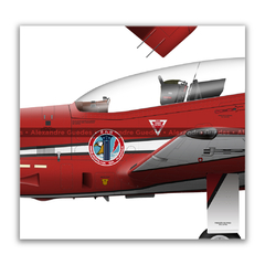 Imagem do Embraer T-27 Tucano, FAB 1331, EDA, 3 vistas