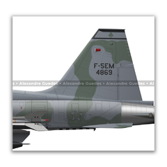 Imagem do AERONAVES NORTHROP F-5E/M TIGER II • 1 GAVCA - 1/14 GAV - 1 GDA - 1/4 GAV • FAB.