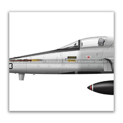 Imagem do AERONAVES NORTHROP F-5E/M TIGER II COM PINTURAS COMEMORATIVAS DA FAB.