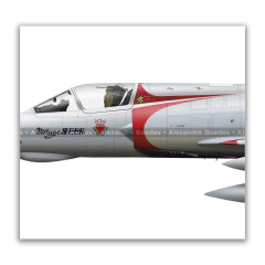 Imagen de AERONAVES HISTÓRICAS DEL 1 GDA - ESCUADRÓN JAGUAR • FAB