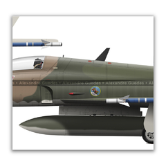 Northrop F-5E Tiger II, FAB 4827, 1º/14º GAV - Esquadrão Pampa, 4 vistas - tienda online