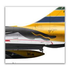 Imagem do DASSAULT MIRAGE F-2000C/D, FAB, 1º GDA, COM 4 AERONAVES.