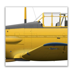 Imagen de AVIONES T-6 NORTEAMERICANOS EN LA FUERZA AÉREA BRASILEÑA • 01