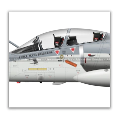 Image of AMX INTERNATIONAL AIRCRAFT A-1B / A-1BM • 3/10 GAV - CENTAURO SQUADRON • FAB