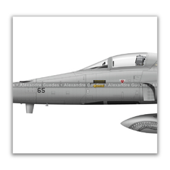 AERONAVES NORTHROP F-5E/M TIGER II COM PINTURAS COMEMORATIVAS DA FAB.