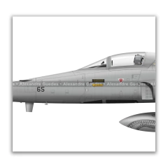 AVIÓN NORTHROP F-5E/M TIGER II CON FABULOSAS PINTURAS CONMEMORATIVAS.