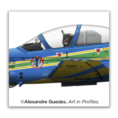POSTER DA ESQUADRILHA DA FUMAÇA - COLETÂNEA - comprar online