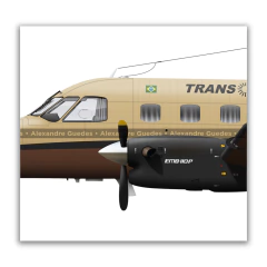 Image of Super Poster EMBRAER EMB-110 Bandeirante, Transbrasil 6x Colorido