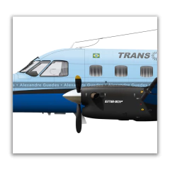 Poster EMB-110 Bandeirante da Transbrasil com seis pinturas.