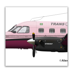 Poster EMB-110 Bandeirante da Transbrasil com seis pinturas. na internet