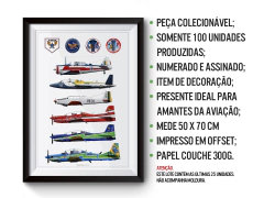 SUPER POSTER ESQUADRILHA DA FUMAÇA - Edición limitada. en internet