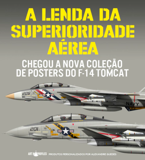 Carrusel Art In Profiles - Posters e Livros sobre Aviação