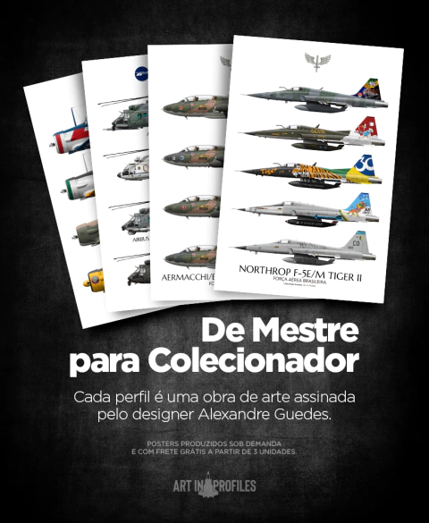 Carrusel Art In Profiles - Posters e Livros sobre Aviação