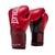 Luva de Boxe e Muay Thai Pro Style Elite V2 12OZ Everlast - Rythmoon