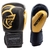 Luva de Boxe e Muay Thai Black Line 16OZ Pretorian