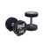 Kit Dumbbell PU Everlast Inox de 14kg - Par - comprar online
