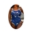 Imagem do Maiô Dboa Swim de Natação Adulto Cavado 2024