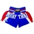 Shorts Muay Thai Kick Boxing Thailand - loja online