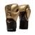 Luva de Boxe e Muay Thai Pro Style Elite V2 12OZ Everlast - comprar online