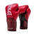 Luva de Boxe e Muay Thai Pro Style Elite V2 14OZ Everlast na internet