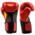Luva de Boxe e Muay Thai Pro Style Elite V2 16OZ Everlast - Rythmoon