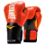 Luva de Boxe e Muay Thai Pro Style Elite V2 16OZ Everlast - loja online