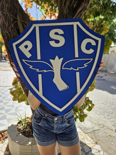 Escudo do Paysandu em Alto Relevo Médio e Grande na internet