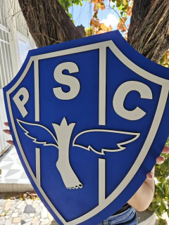 Imagem do Escudo do Paysandu em Alto Relevo Médio e Grande