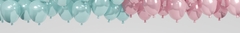 Banner de la categoría Revelación de Género