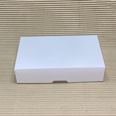 CAJA RECTANGULAR 24X21X6.5CM