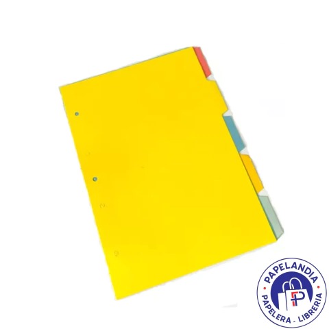 SEPARADOR CARTULINA A4 X 5 H