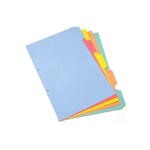 SEPARADOR CARTULINA OFICIO X 5 H